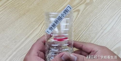 巧用塑料瓶與白糖，輕松安全消滅家中蒼蠅